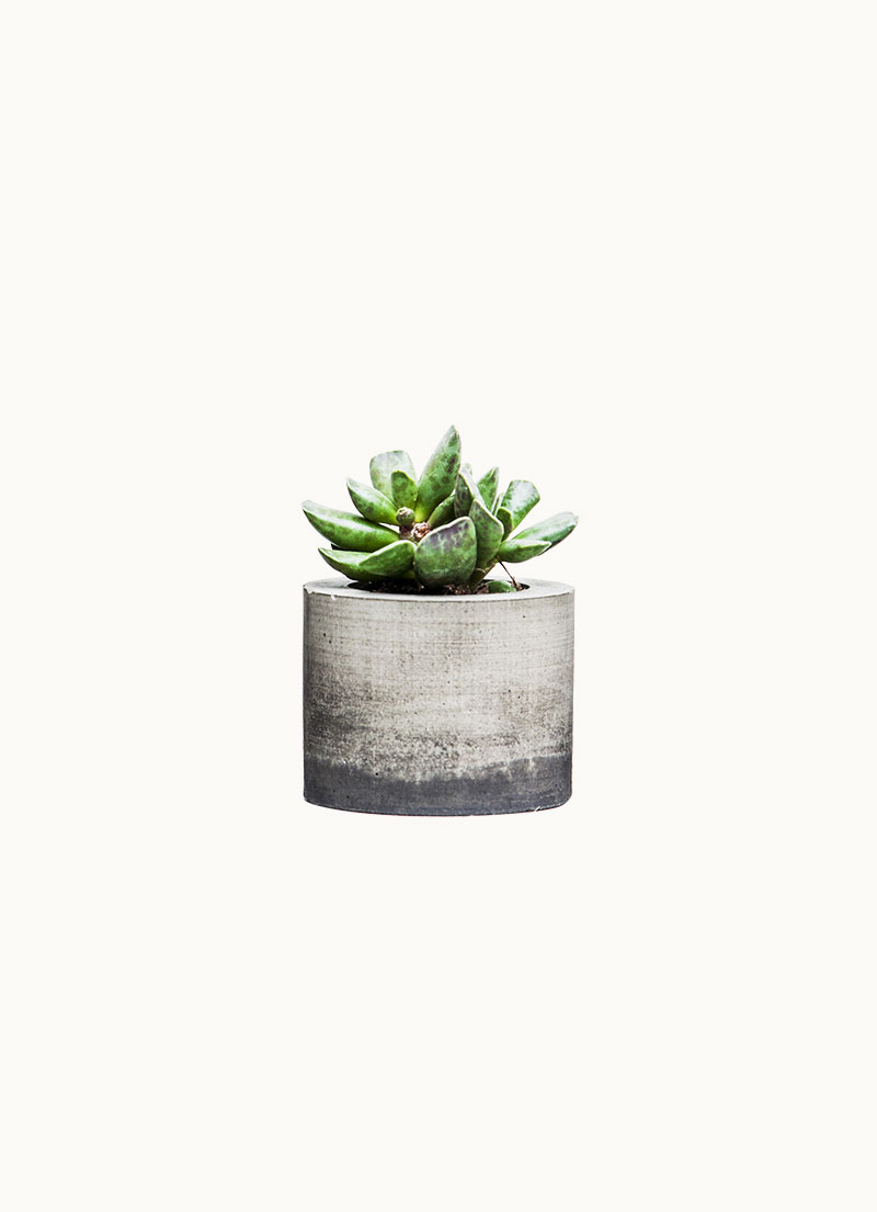 home-6-product-image-5 f